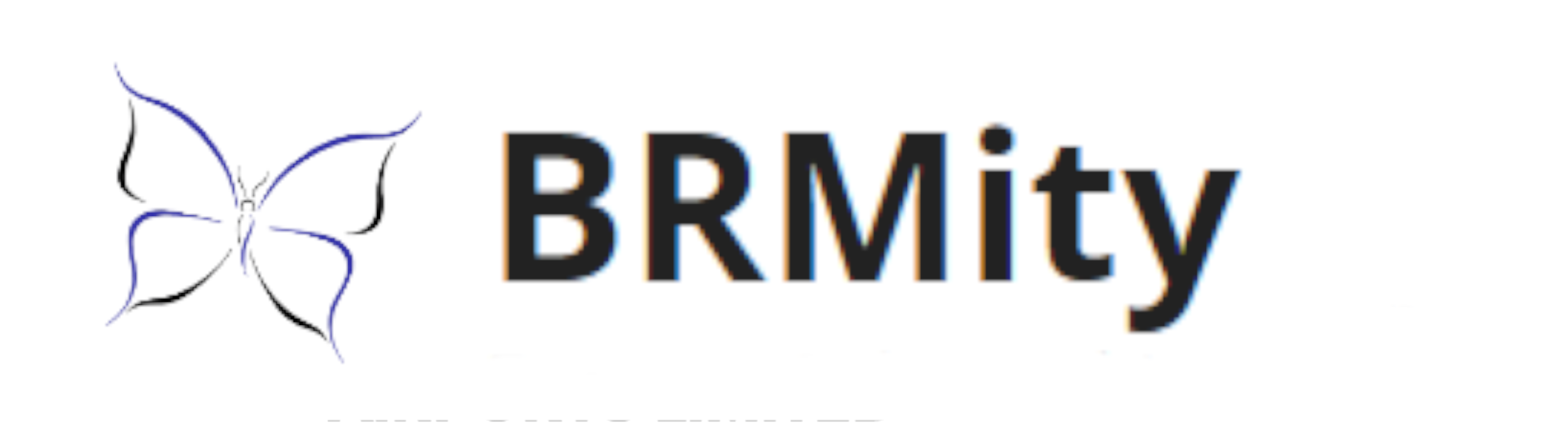 Brmity logo